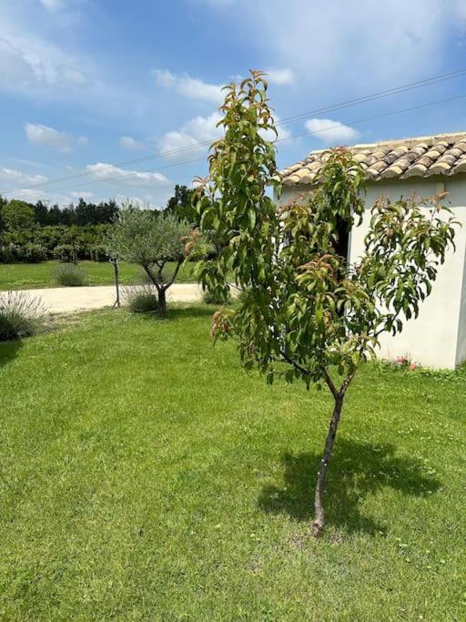 Villa Des Jacinthes Tarascon Εξωτερικό φωτογραφία